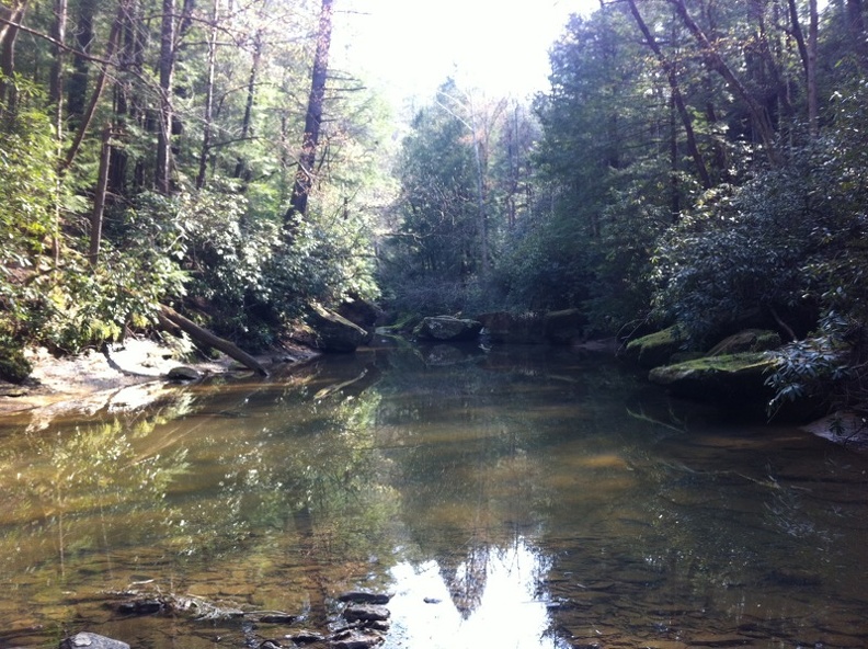 Clifty Wilderness  - 19